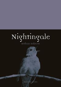 Cover image for Nightingale