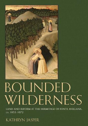 Cover image for Bounded Wilderness