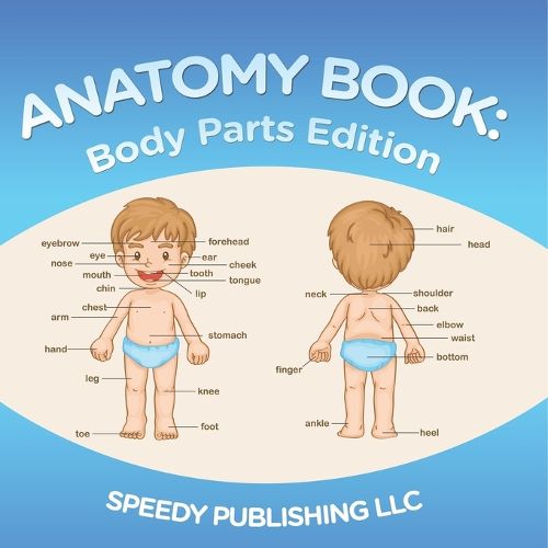 Cover image for Anatomy Book