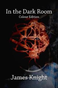 Cover image for In the Dark Room (full colour edition)