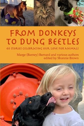 Cover image for From Donkeys to Dung Beetles