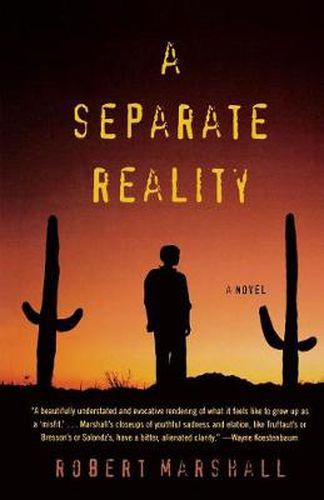 Cover image for A Separate Reality: A Novel