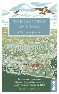 Cover image for The Country of Larks: A Chiltern Journey: In the footsteps of Robert Louis Stevenson and the footprint of HS2