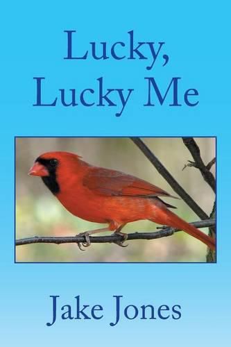 Cover image for Lucky, Lucky Me