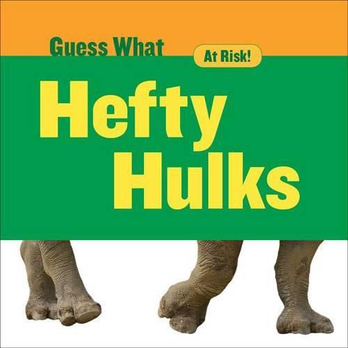 Cover image for Hefty Hulks: Rhinoceros