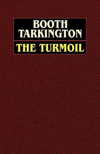 Cover image for The Turmoil