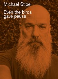 Cover image for Michael Stipe: Even the birds gave pause