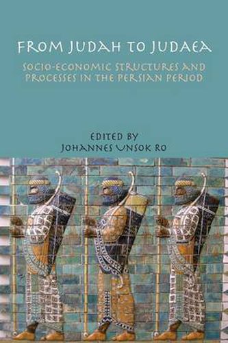 Cover image for From Judah to Judaea: Socio-economic Structures and Processes in the Persian Period