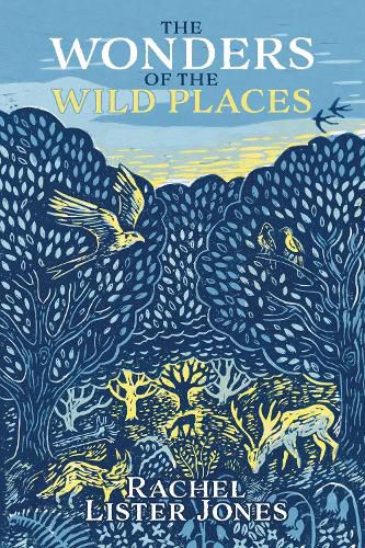 Cover image for The Wonders of the Wild Places