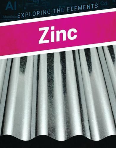 Cover image for Zinc