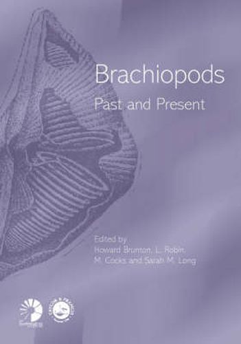 Cover image for Brachiopods