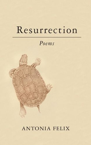 Cover image for Resurrection