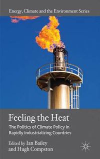 Cover image for Feeling the Heat: The Politics of Climate Policy in Rapidly Industrializing Countries