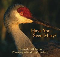 Cover image for Have You Seen Mary?