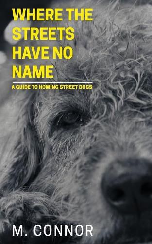 Cover image for Where the Streets Have No Name: A guide to homing street dogs