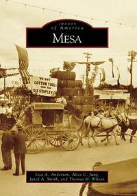 Cover image for Mesa