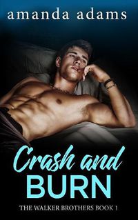 Cover image for Crash and Burn