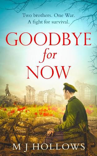 Cover image for Goodbye for Now