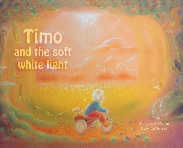 Cover image for Timo and the soft white light