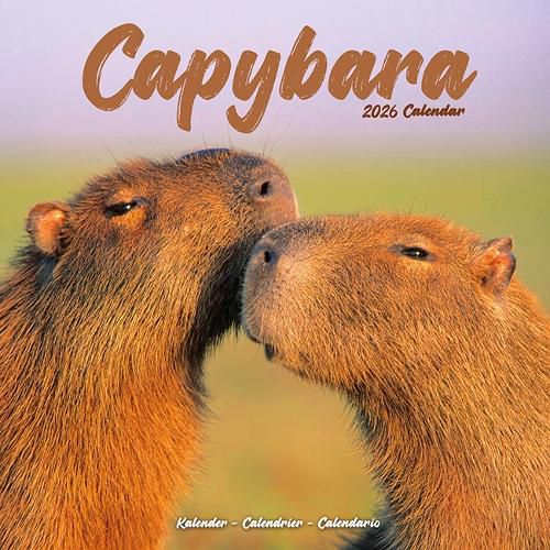Cover image for Capybara Calendar 2026 Square Animal Wall Calendar - 16 Month