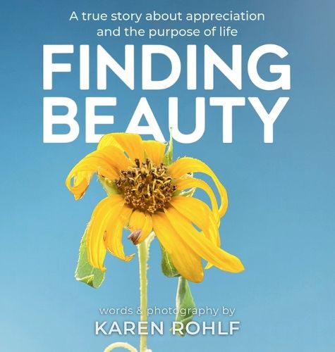 Cover image for Finding Beauty