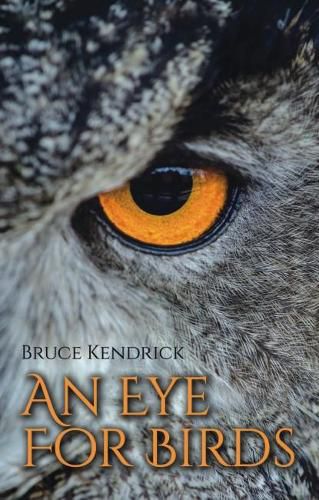 Cover image for An Eye for Birds