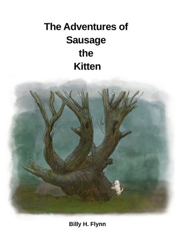 Cover image for The Adventures of Sausage the Kitten