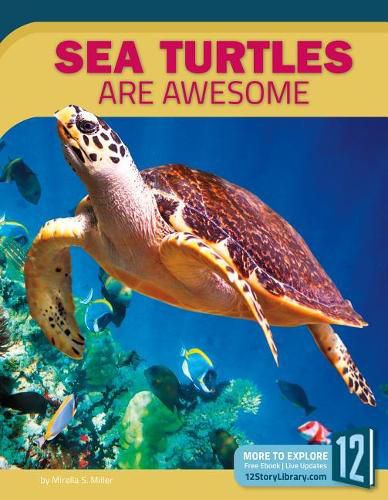 Cover image for Sea Turtles Are Awesome
