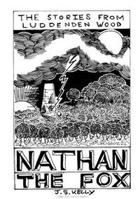 Cover image for Nathan the Fox