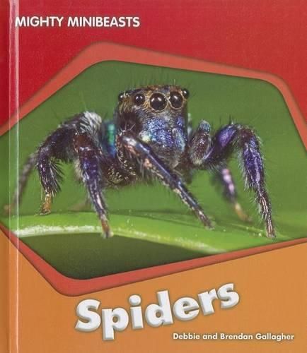 Cover image for Spiders