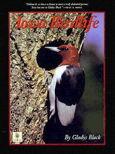 Cover image for Iowa Birdlife