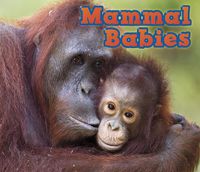 Cover image for Mammal Babies