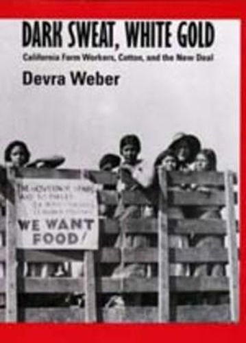 Cover image for Dark Sweat, White Gold: California Farm Workers, Cotton, and the New Deal