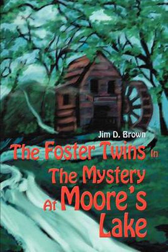 Cover image for The Foster Twins In The Mystery At Moore's Lake