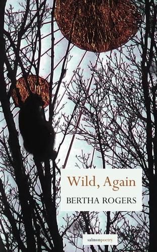 Cover image for Wild, Again
