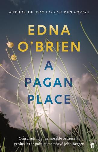 Cover image for A Pagan Place