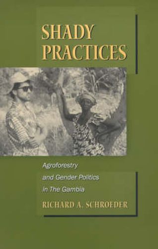 Cover image for Shady Practices: Agroforestry and Gender Politics in The Gambia