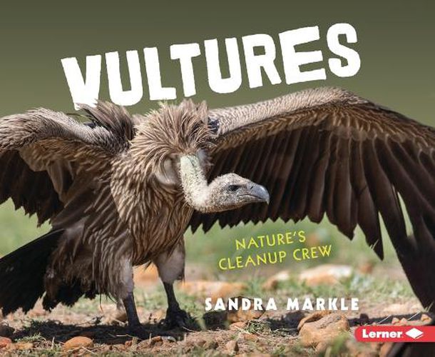 Cover image for Vultures