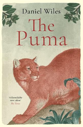 Cover image for The Puma