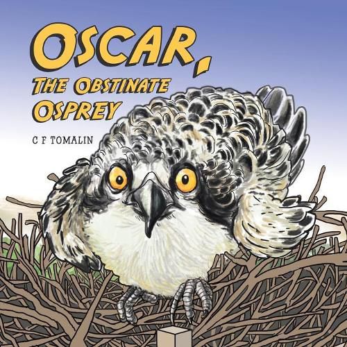 Cover image for Oscar, the Obstinate Osprey