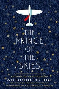 Cover image for The Prince of the Skies