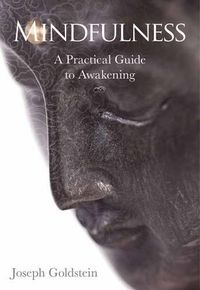 Cover image for Mindfulness: A Practical Guide to Awakening
