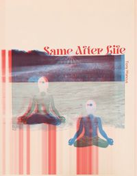Cover image for Same After Life