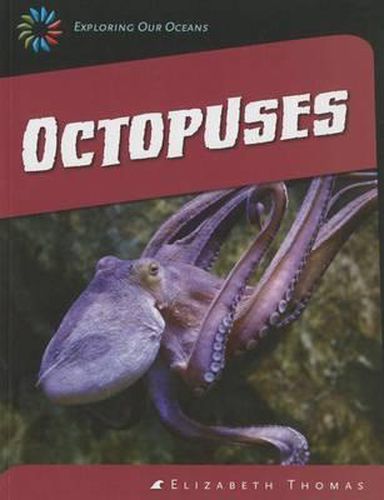 Cover image for Octopuses