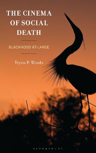 Cover image for The Cinema of Social Death
