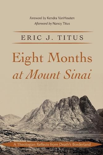 Cover image for Eight Months at Mount Sinai