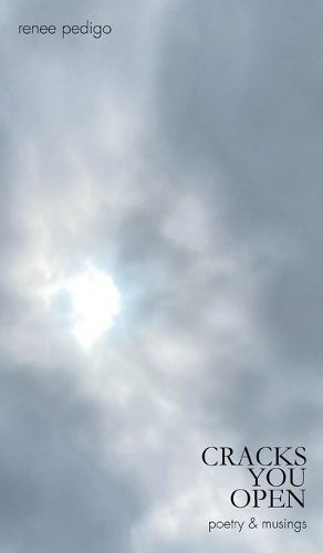 Cover image for Cracks You Open