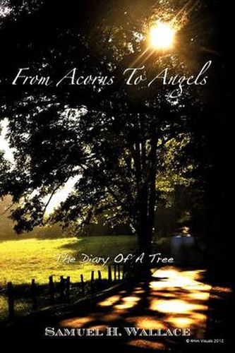 Cover image for From Acorns to Angels