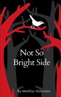 Cover image for Not So Bright Side