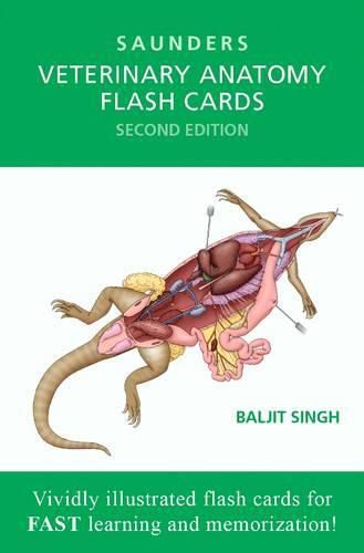Cover image for Veterinary Anatomy Flash Cards